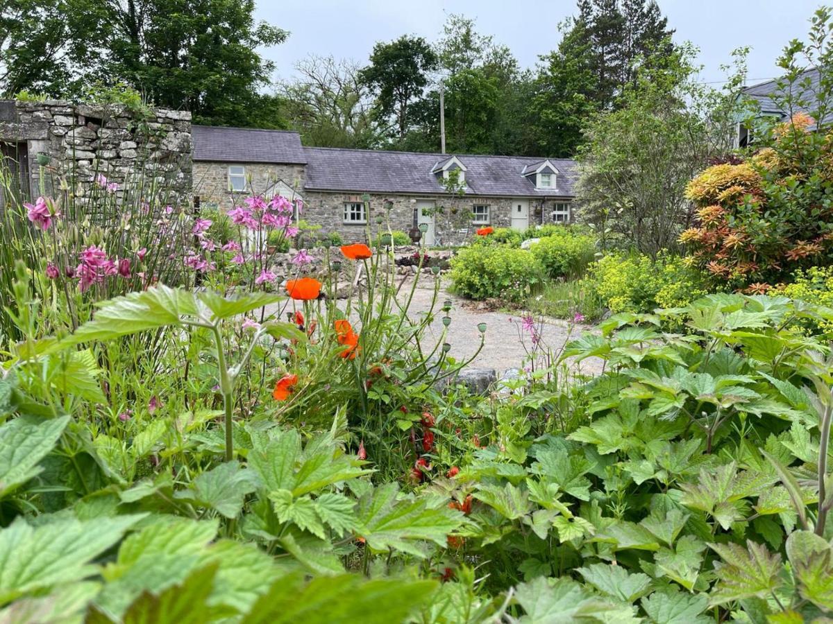 Crug Yr Eryr Isaf Βίλα Llandysul Εξωτερικό φωτογραφία